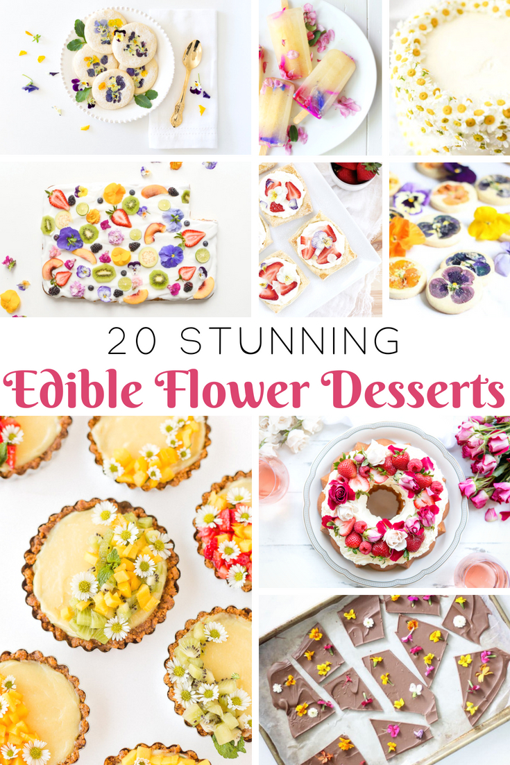 Simple Edible Flower Desserts